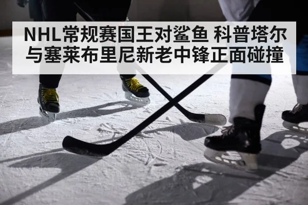NHL常规赛国王对鲨鱼 科普塔尔与塞莱布里尼新老中锋正面碰撞